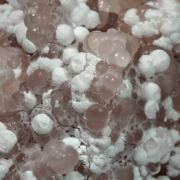 Tobermorite (Group) with Datolite (variety bakerite)