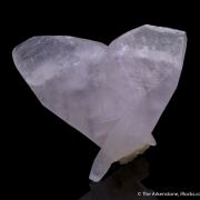 Calcite var. Manganoan (butterfly-twinned)