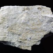 Searlesite