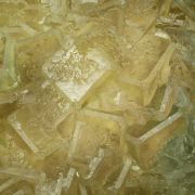 Fluorite with Baryte