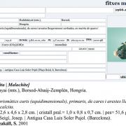 Malachite xx with Dolomite and Quartz