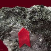 Stibivanite (co-type locality) with Clinochlore on Dolomite