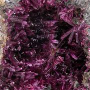 Erythrite with Phlogopite