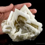 Baryte (Two Generations)