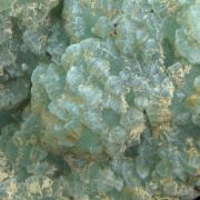 Prehnite
