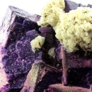 Fluorite + Sphalerite + Baryte.