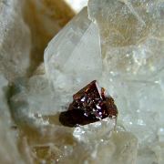 Fluornatromicrolite, Topaz, Albite, Muscovite