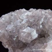 Smithsonite Var. Cobaltian