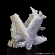Anglesite on Cerussite