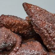 Smithsonite after Calcite