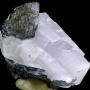 Djurleite