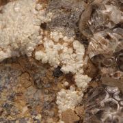 Opal-AN (Hyalite Opal) with Carbonate-rich Fluorapatite (var: Staffelite)