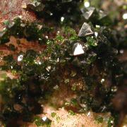 Libethenite with Pseudomalachite