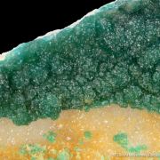 Cuprian Adamite on Quartz