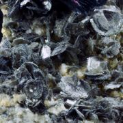 Hematite var. Iron rose