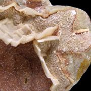 Dolomite cast TSUMEB