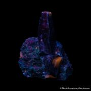 Corundum var. Sapphire on Muscovite