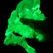 Opal var. hyalite CRAZY FLUORESCENCE