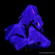 Fluorite with Geocronite on Pyrite