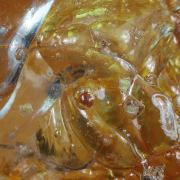 Opal / (variety - “Opal-AN”) / (variety - “Hyalite Opal”) / (“Blood Vessel Opal”)