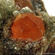 Spessartine Garnet in Mica Schist