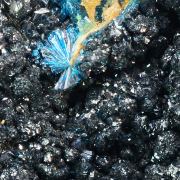 Clinoclase with Cornwallite