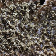 Arsenatian Vanadinite + Calcite.