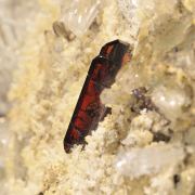 Brookite with Quartz