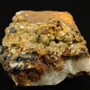 Campylite