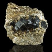 Andradite var. Garnet