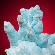 Aragonite  Var. Flos Ferri