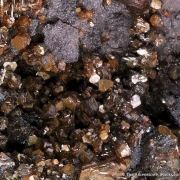 Seamanite (type locality) with Shigaite