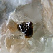 Fluornatromicrolite, Topaz, Albite, Muscovite