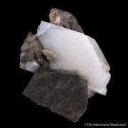 Whewellite