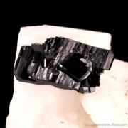 Tantalite-(Fe) on Albite