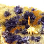 Fluorite + Baryte + Quartz