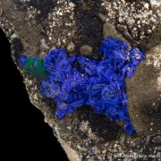 Azurite on Shale