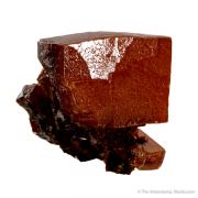 Wulfenite