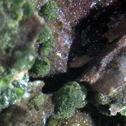Arthurite, Olivenite