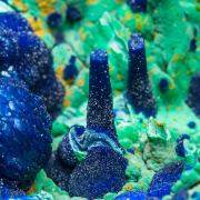 Azurite with Malachite