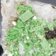 Metatorbernite