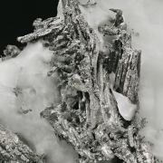 Allargentum on Calcite