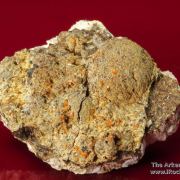 Atencioite (type locality) with Ushkovite on Beryllonite