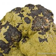 Kidwellite with Strengite on Beraunite