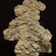Dolomite with Calcite