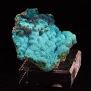 Chrysocolle.