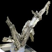 Allargentum and silver pseudo. after dyscrasite