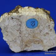 Atencioite (type locality) with Ushkovite on Beryllonite