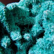 Chrysocolla ps on Azurite ps on Malachite