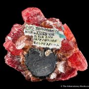 Rhodochrosite on Manganite